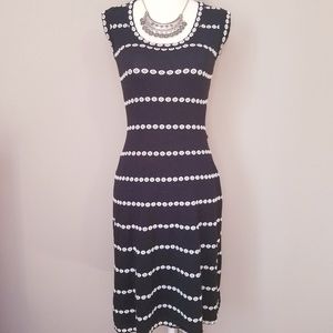 Dotted Sleeveless Embroidered Sweater Dress